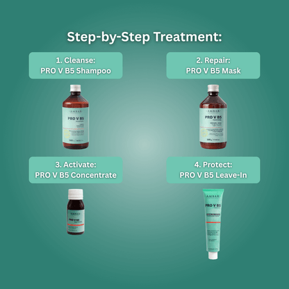 Âmbar Professional PRO V B5 Panthenol Haircare Set